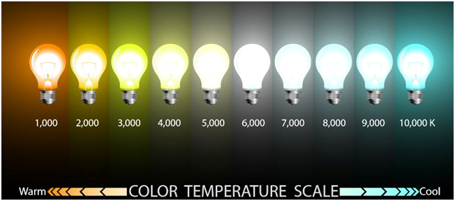 Which LED Light Color Temperature Should I Choose?